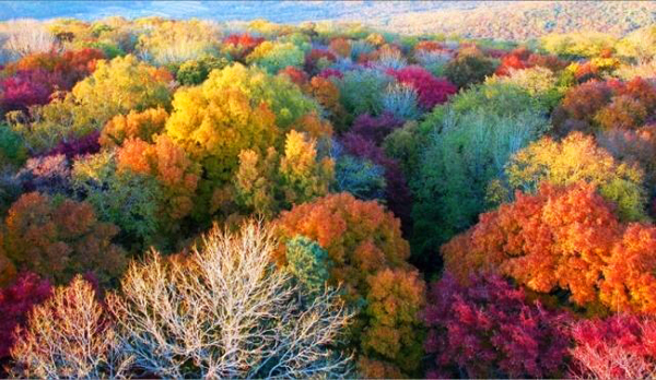 秋季長白山 層林盡染之旅